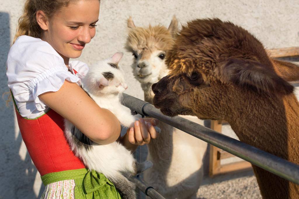 Das Franzl - Bett & Brot Sankt Wolfgang im Salzkammergut Екстер'єр фото