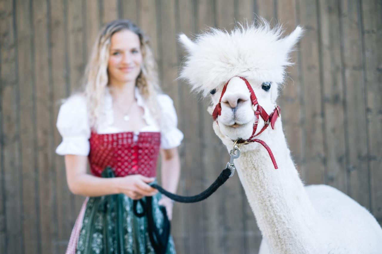 Das Franzl - Bett & Brot Sankt Wolfgang im Salzkammergut Екстер'єр фото